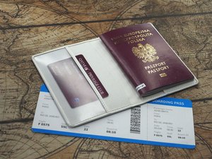 Estuche para pasaporte 209119